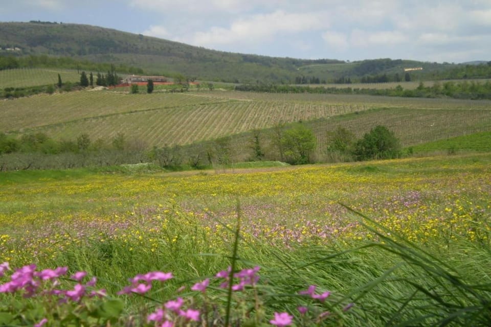 Surroundings [summer] (1-5 km)