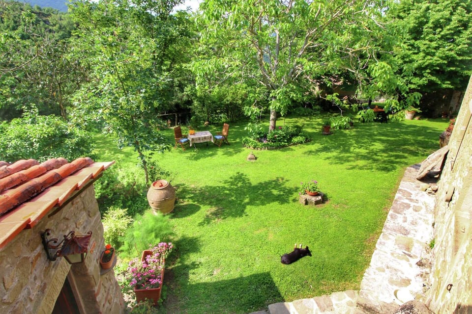 Garden [summer]