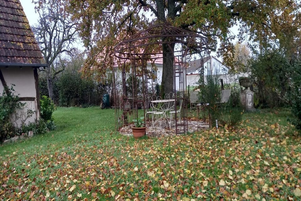 Garden [summer]