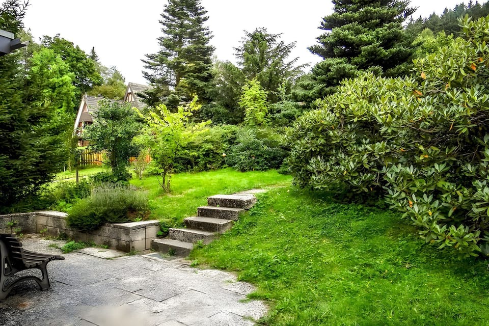 Garden [summer]