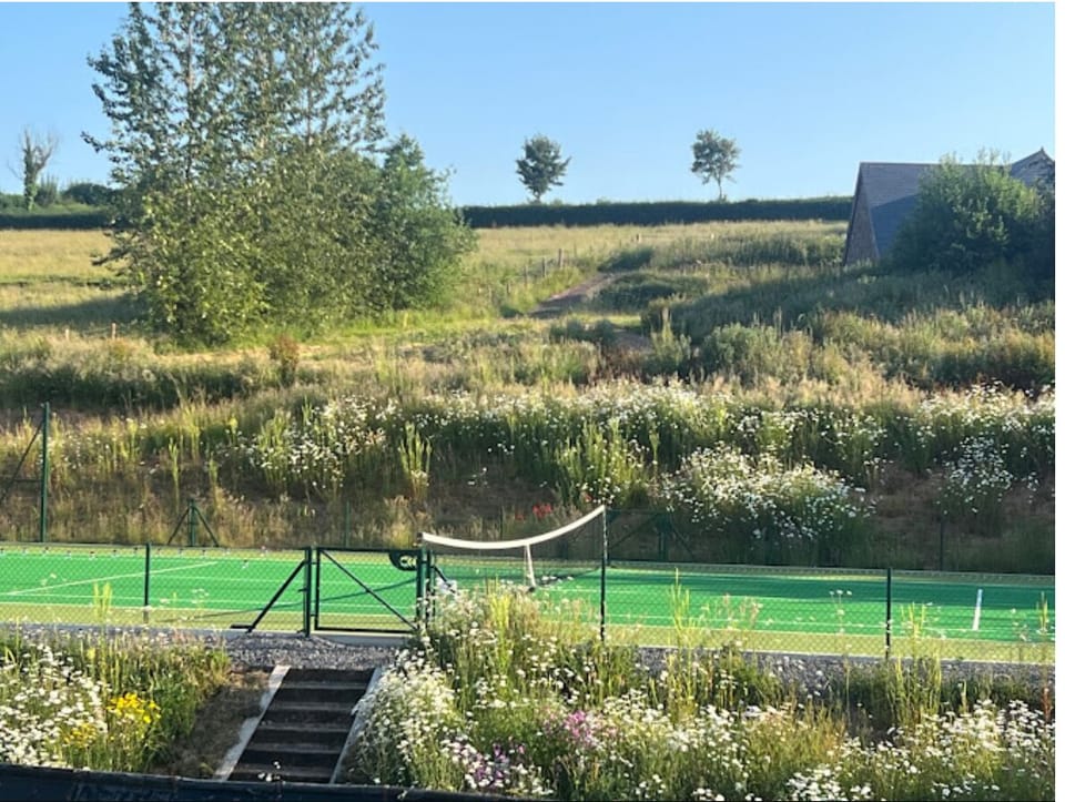 Sport court