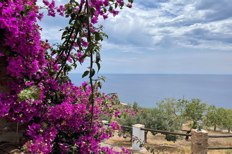 View from Holiday Home [summer]