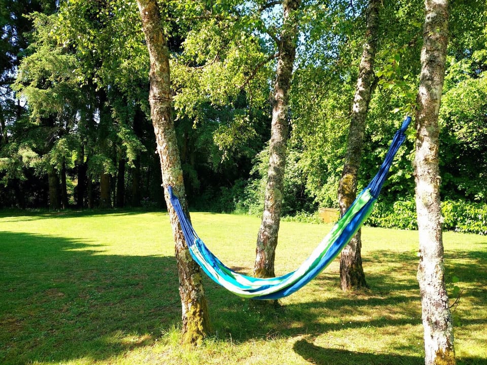 Garden [summer]