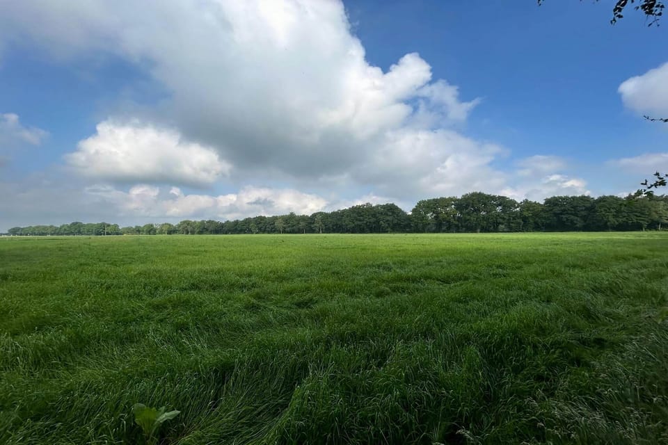 Surroundings [summer] (1-5 km)