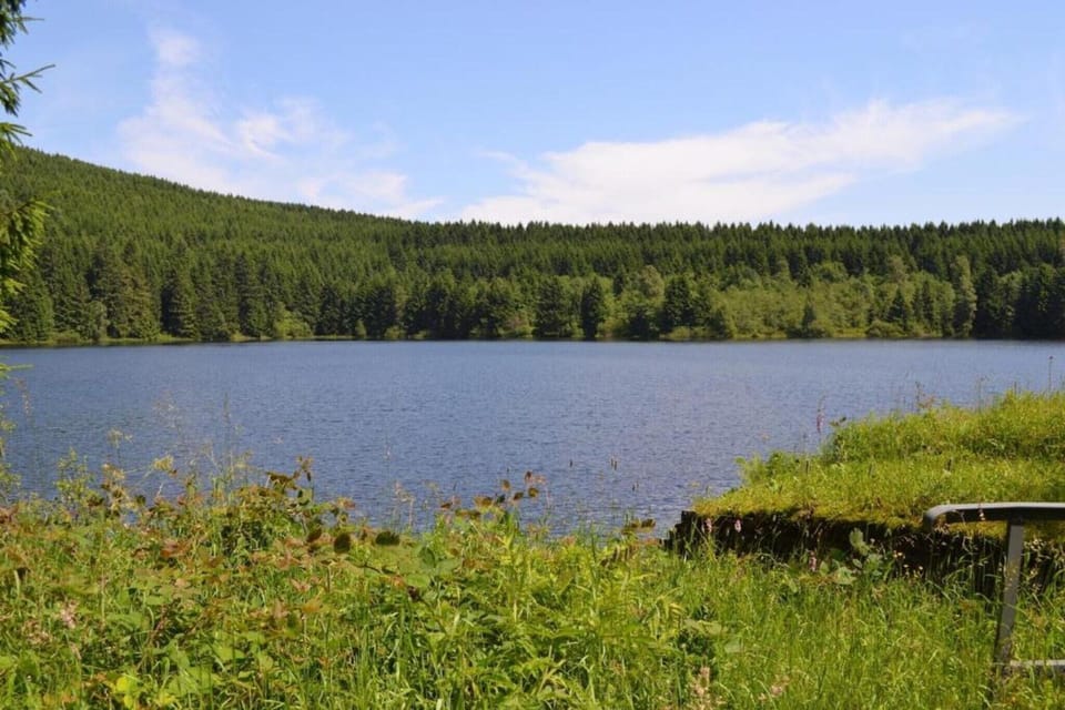Region [summer] (>5 km)