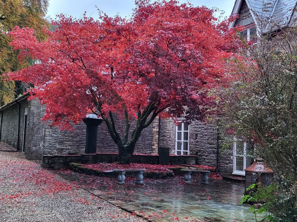 Outside Patio
