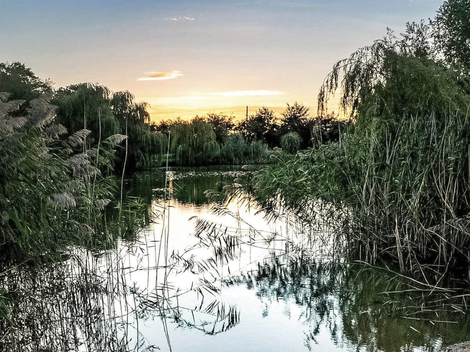 Surrounding area | 4 Lakeview Lodge, Boston