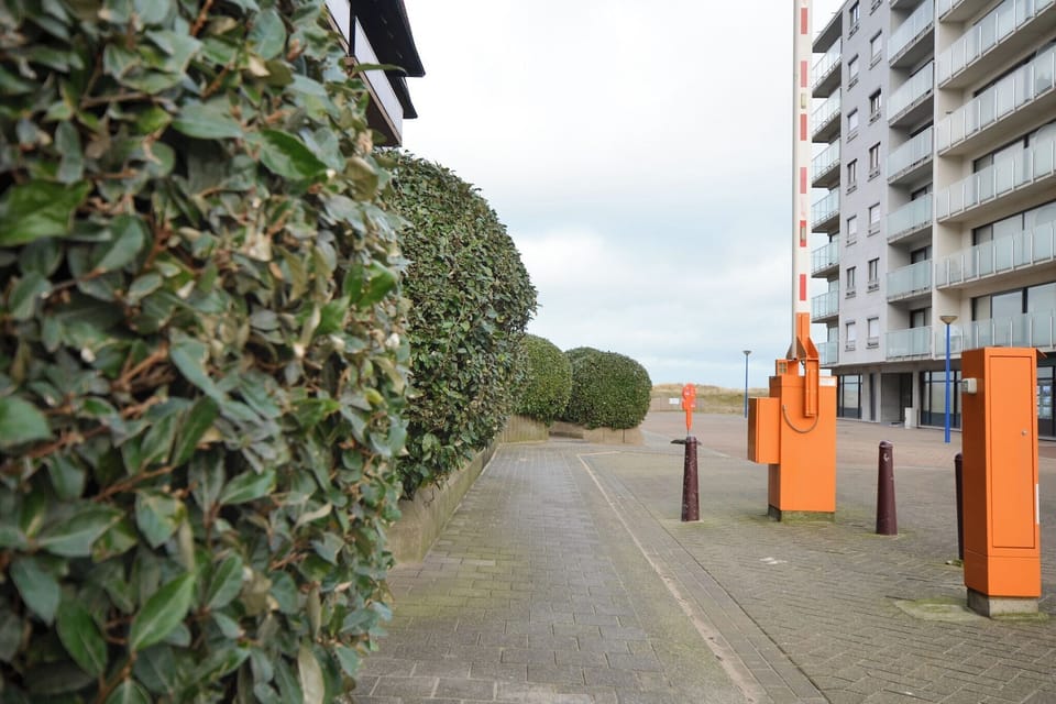 Immediate Surroundings [summer] (<1 km)