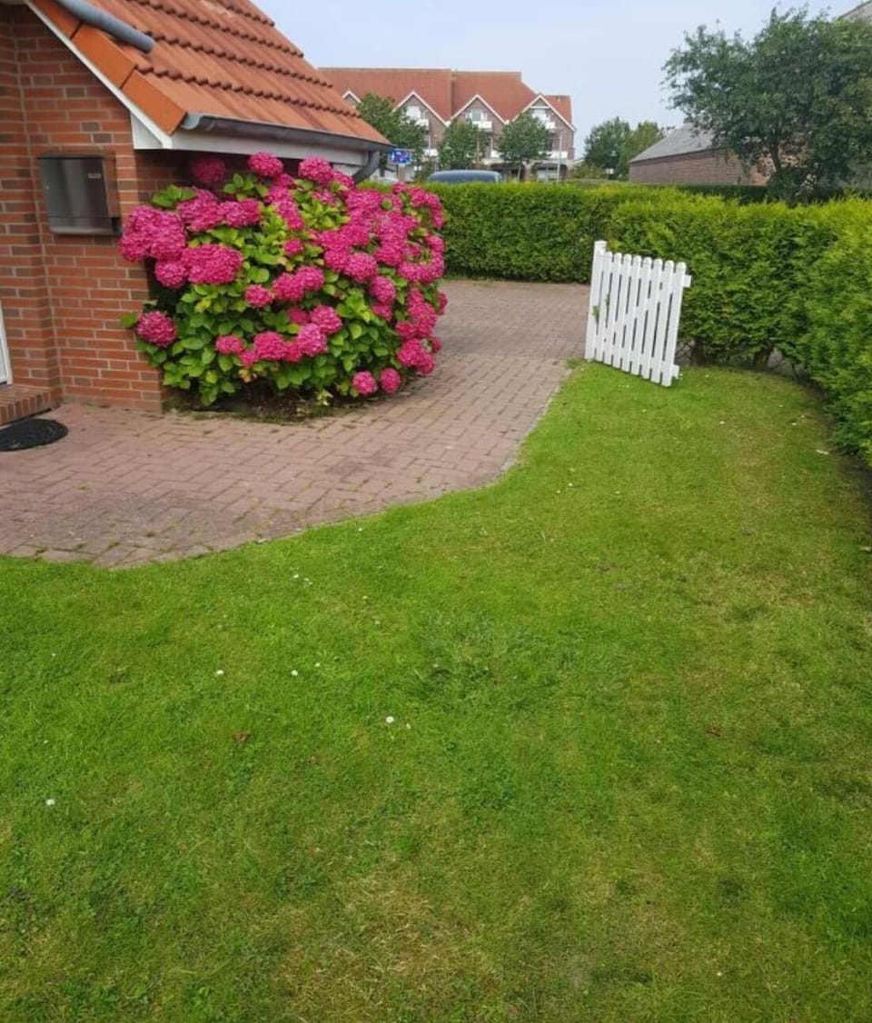 Garden [summer]