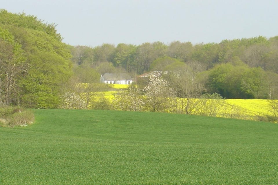 Surroundings [summer] (1-5 km)
