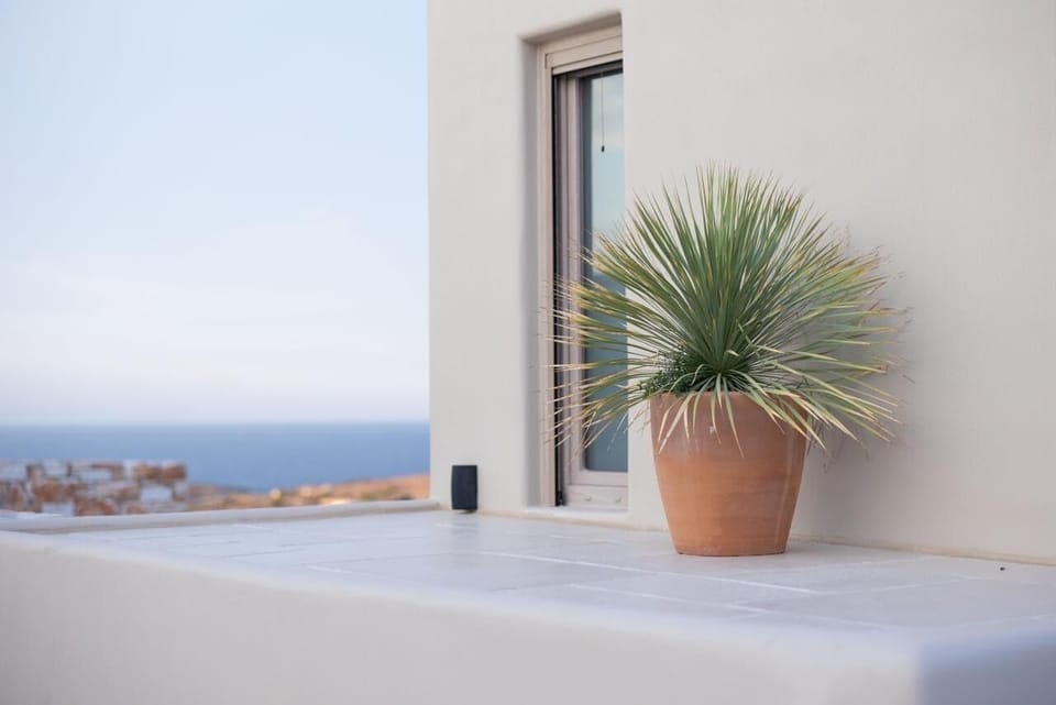Ocean view