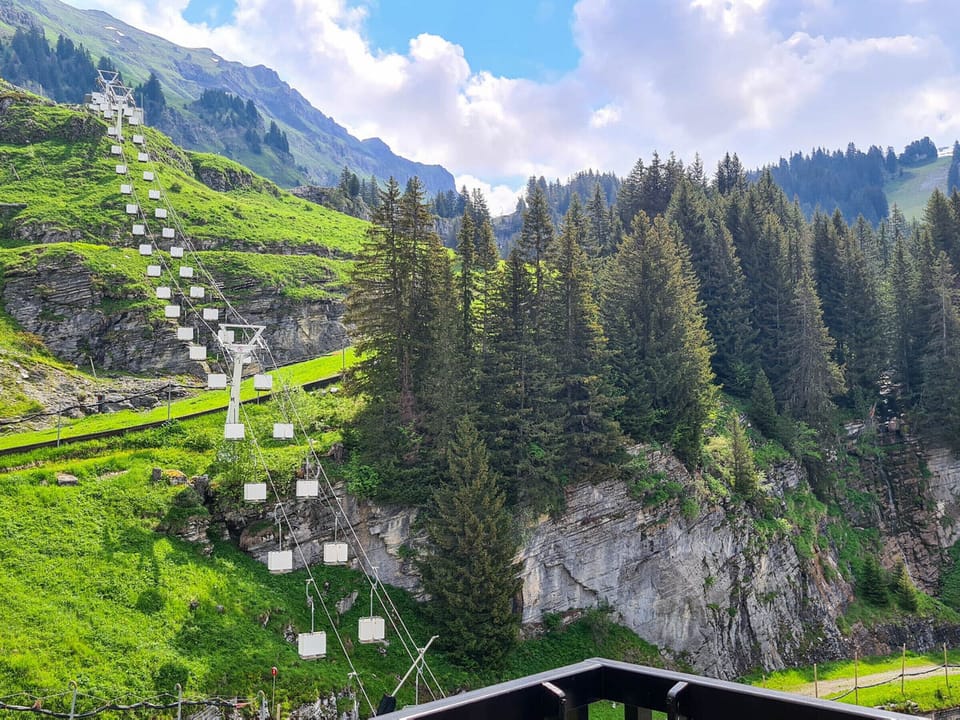 View from property