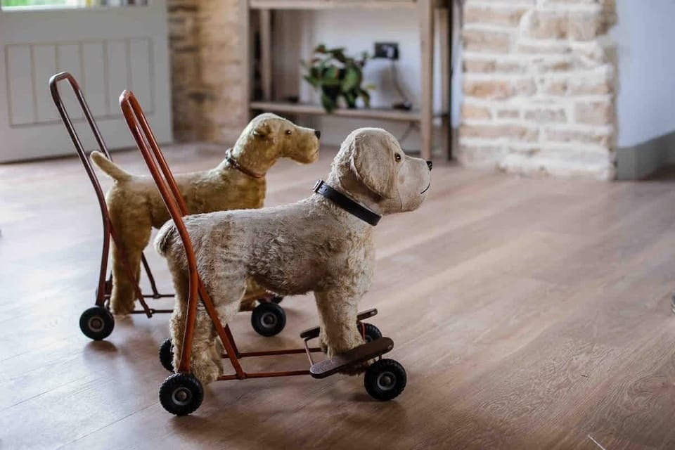 Pet-friendly