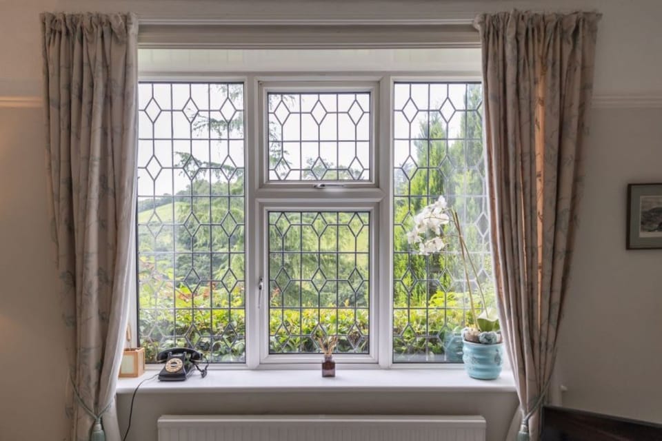 Muddykins Living Room Window View