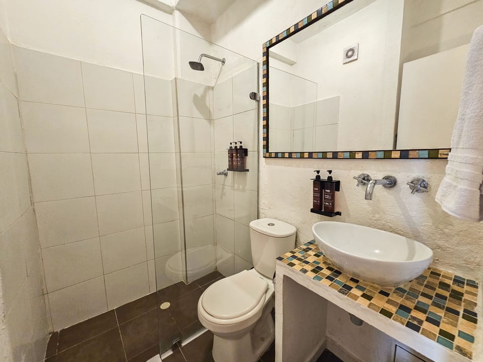 Deluxe Room | Bathroom | Shower, hair dryer (on request), towels, soap