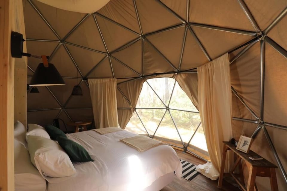 Double Room | Premium bedding, down comforters, Select Comfort beds, minibar