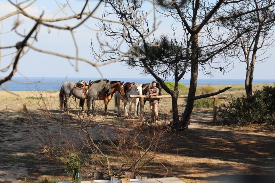 Horseback riding