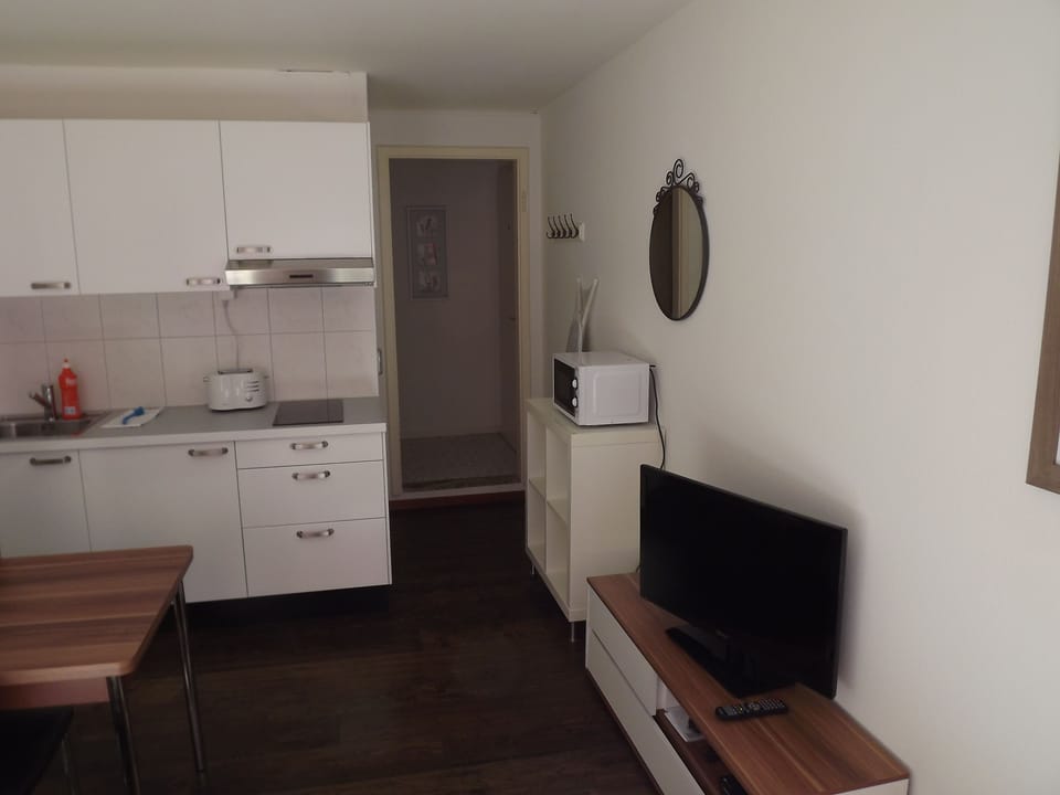 Classic Apartment | Private kitchenette | Stovetop