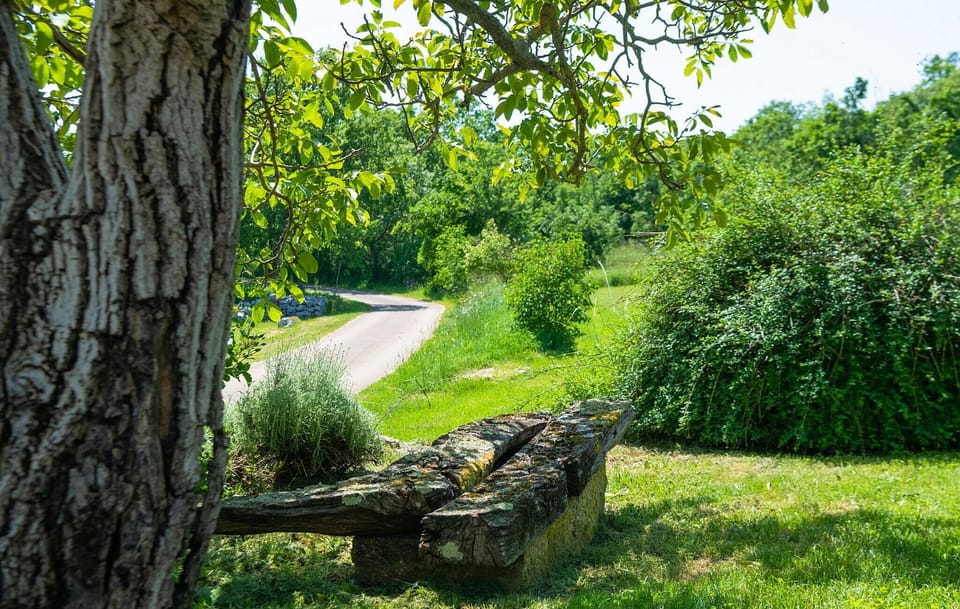 outside