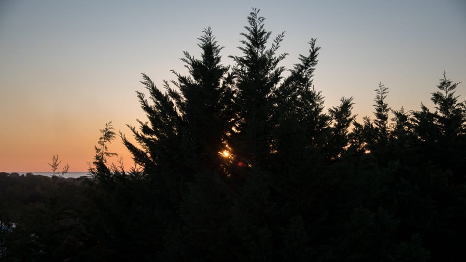View from property