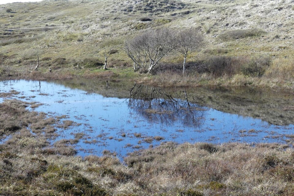 Surroundings [winter] (1-5 km)