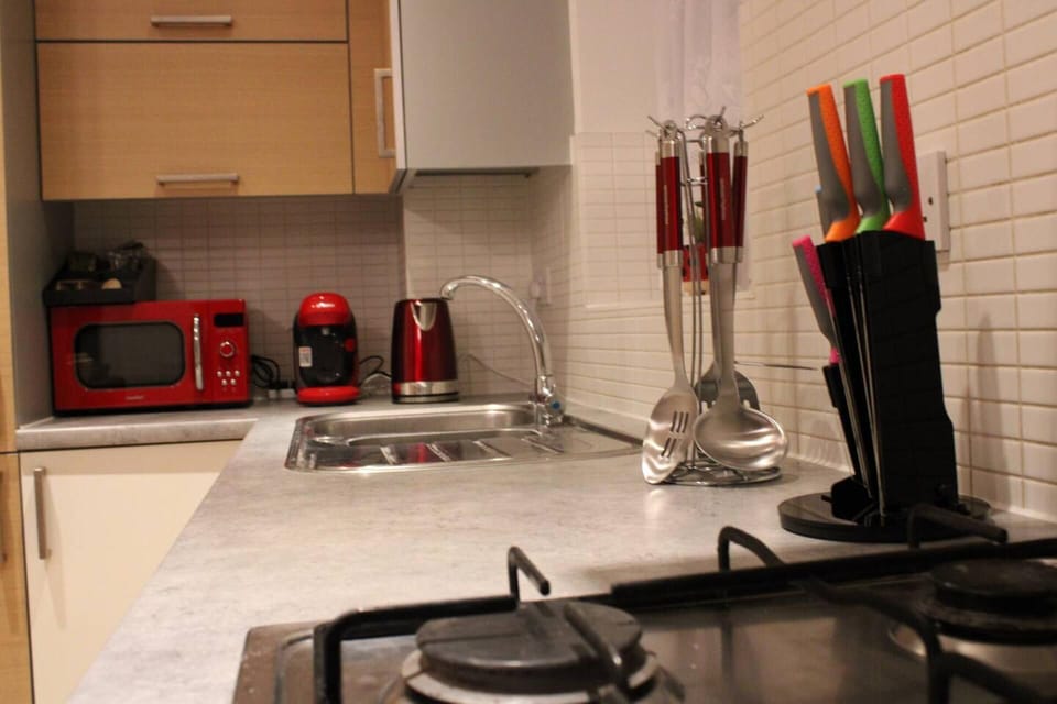 Apartment | Private kitchen | Fridge, microwave, oven, stovetop