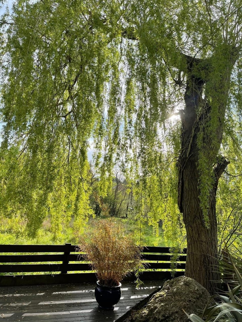 House | Property grounds