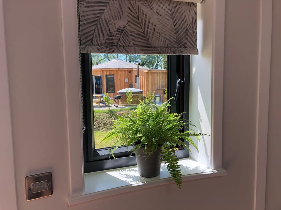 View from window