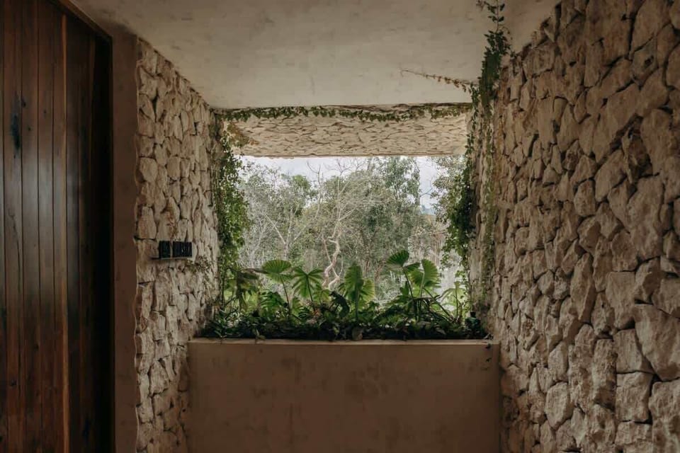 Jungle views
