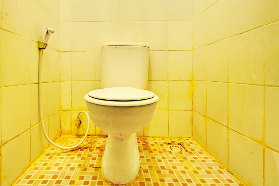 Deluxe Double Room | Bathroom | Shower, soap