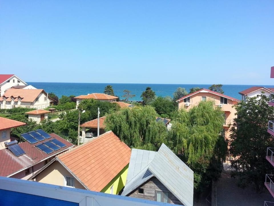 Beach/ocean view
