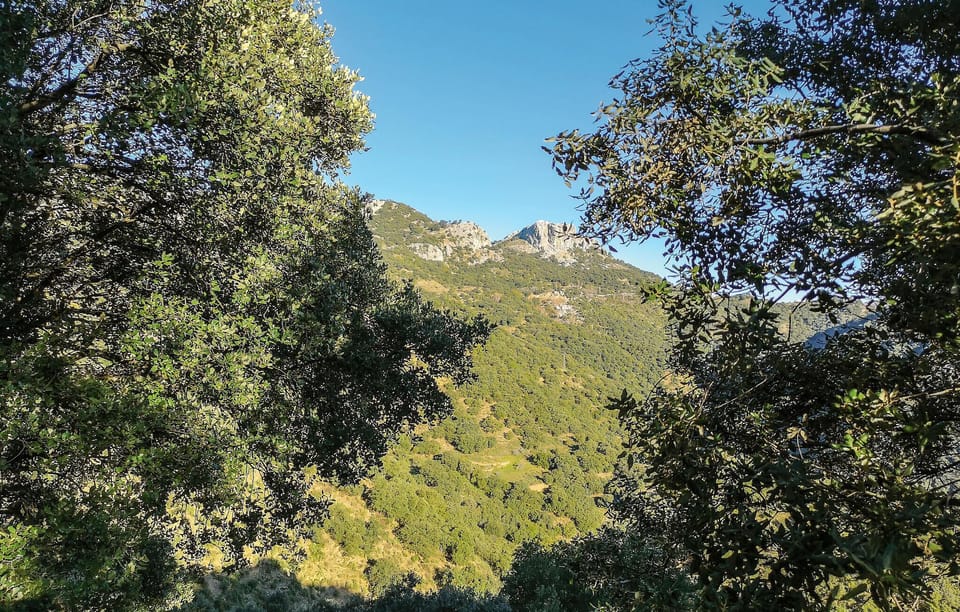 area