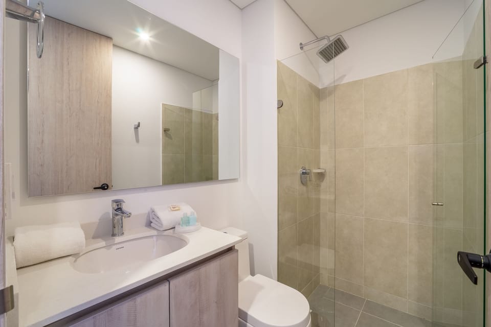 Apartment | Bathroom | Shower, towels, shampoo