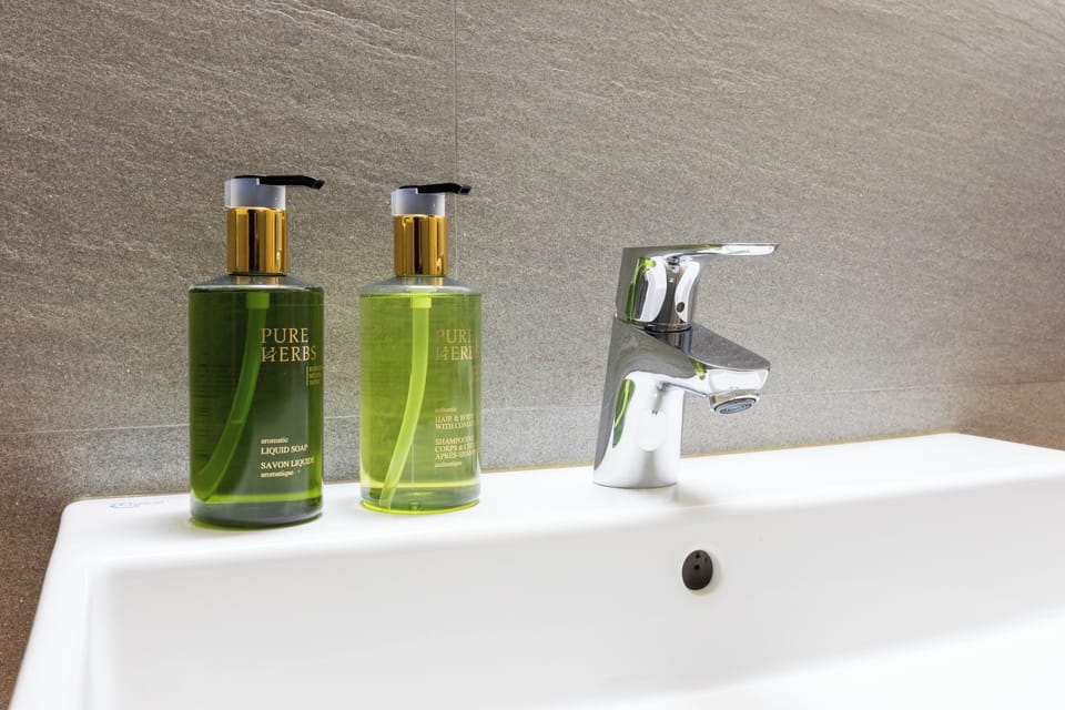 Deluxe Room | Bathroom | Free toiletries, hair dryer, bidet, towels