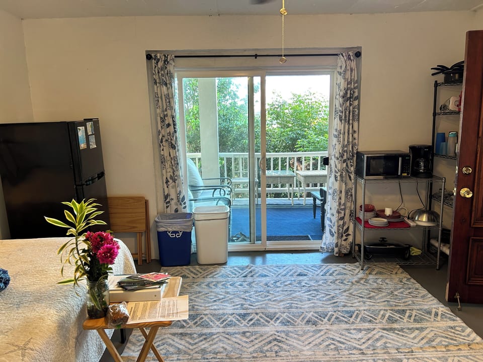 Living room view