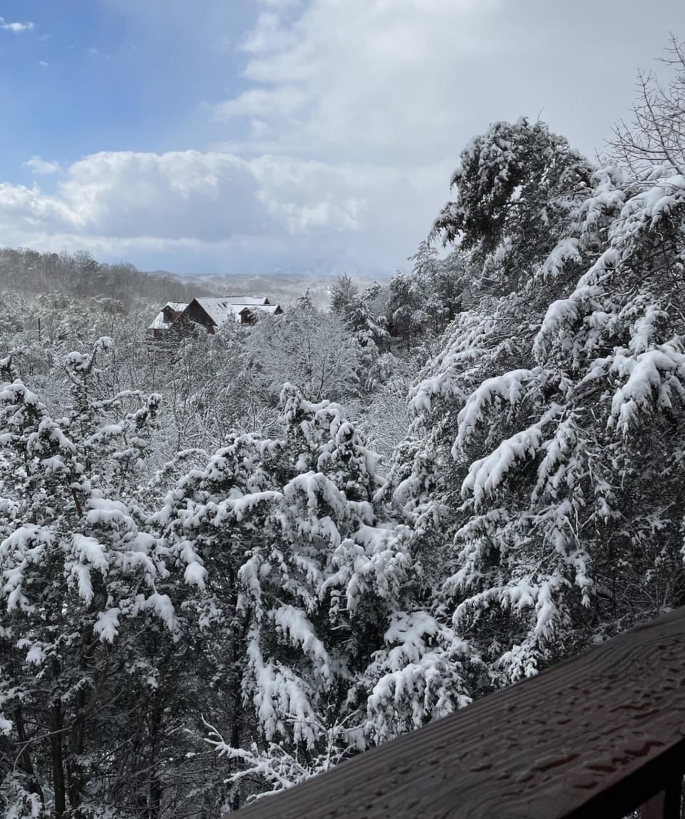Winter View from Upper Deck