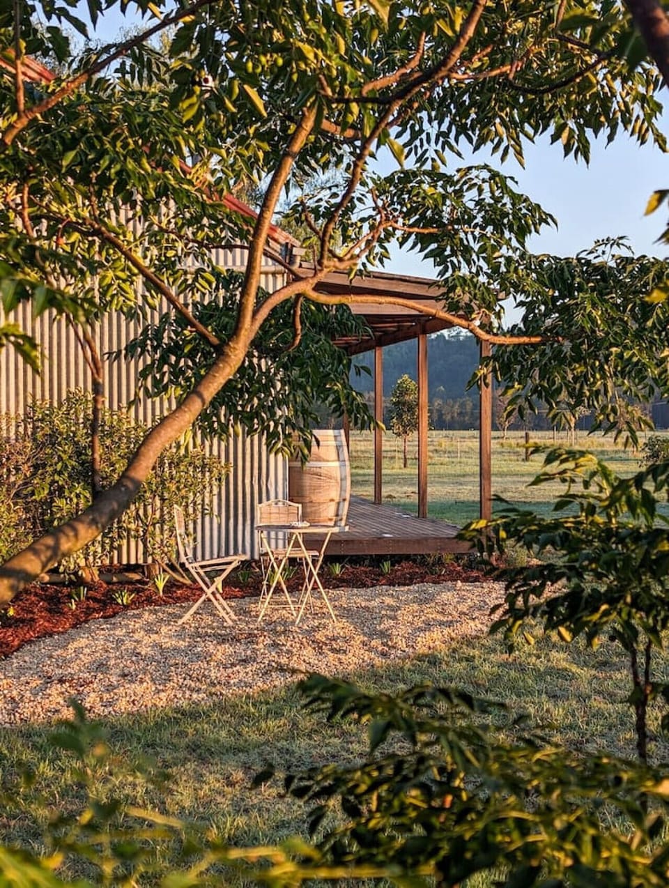 Peaceful moments in nature at the cottage
