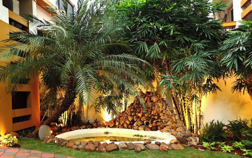 Garden view