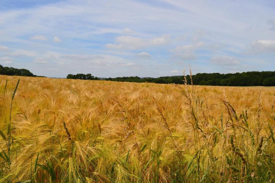 Region [summer] (>5 km)