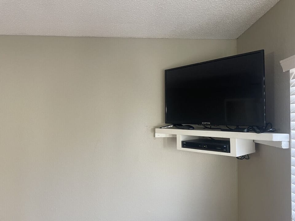 Television