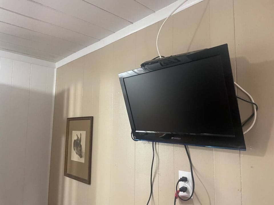 Television