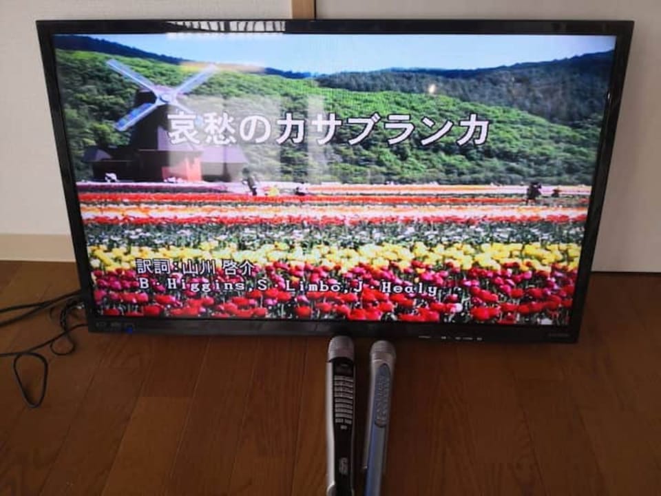 Television