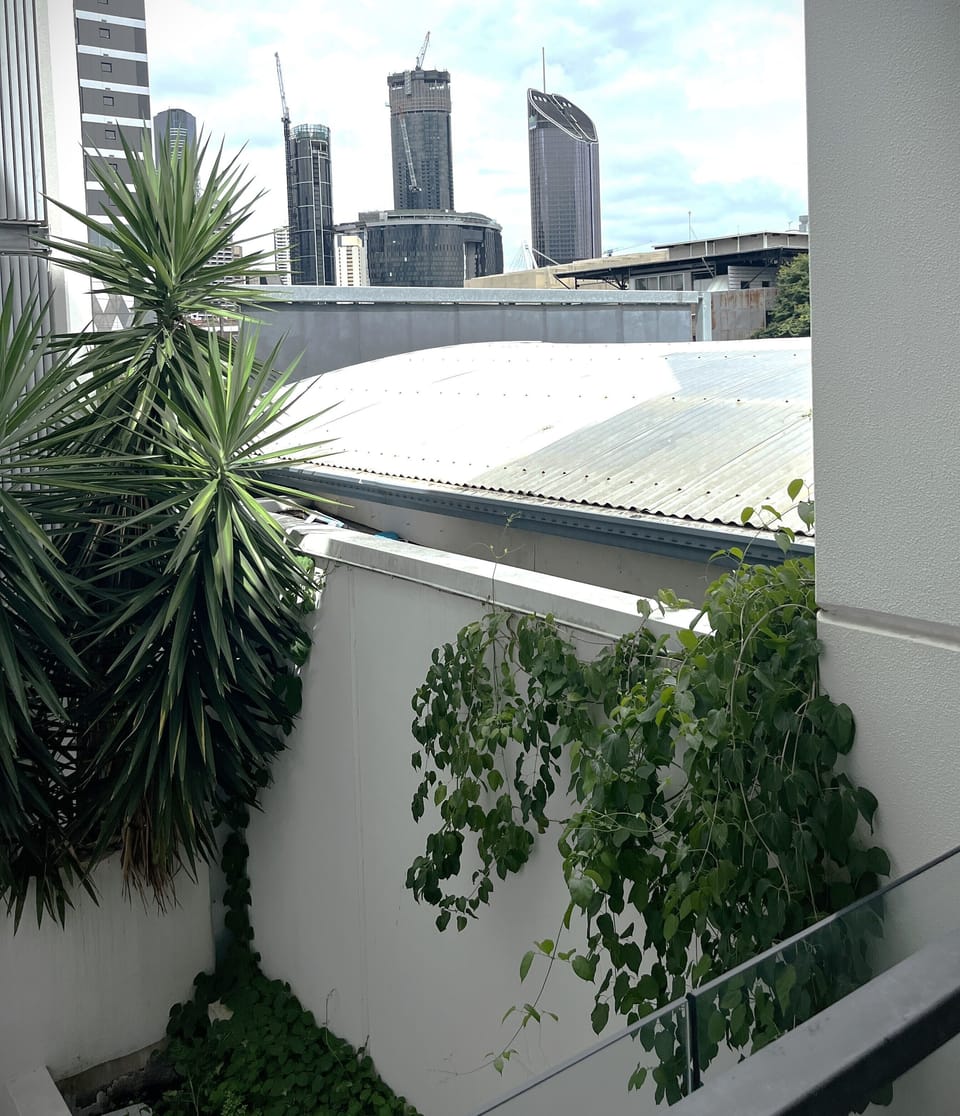 City View