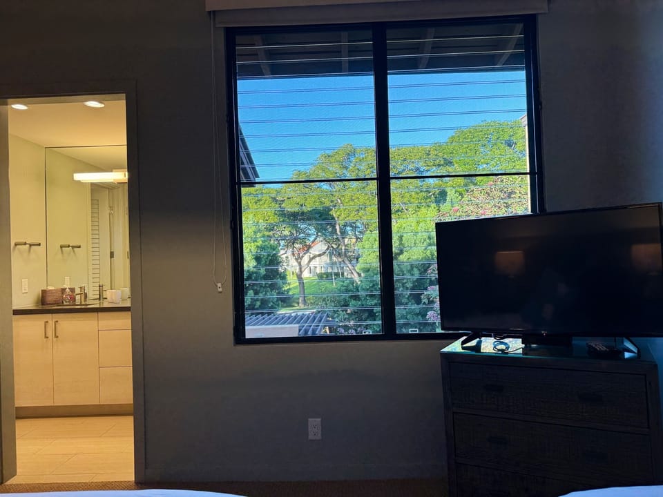 2nd bedroom view from beds. 