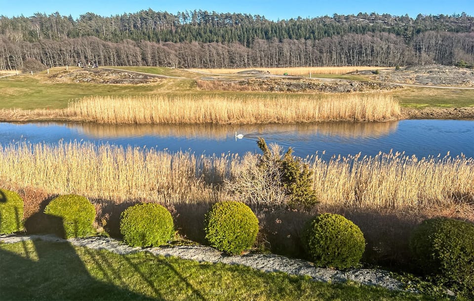 view-from-room
