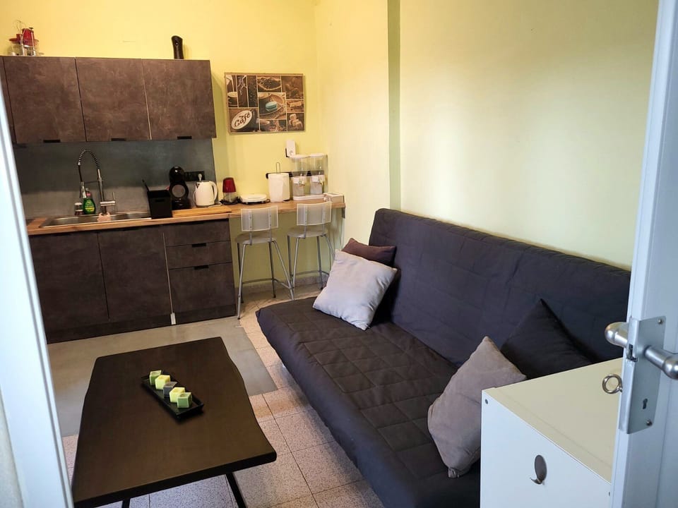 Basic Room, 1 Queen Bed with Sofa bed, Smoking | Private kitchen | Fridge, electric kettle, toaster, blender
