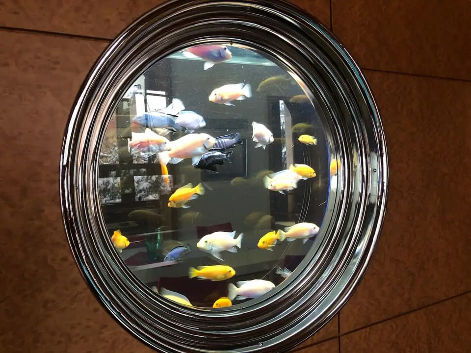 Interior detail