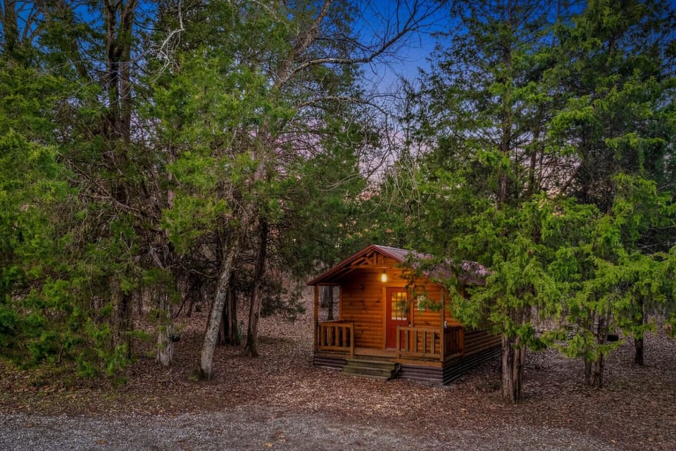 Welcome to Yes Deer.