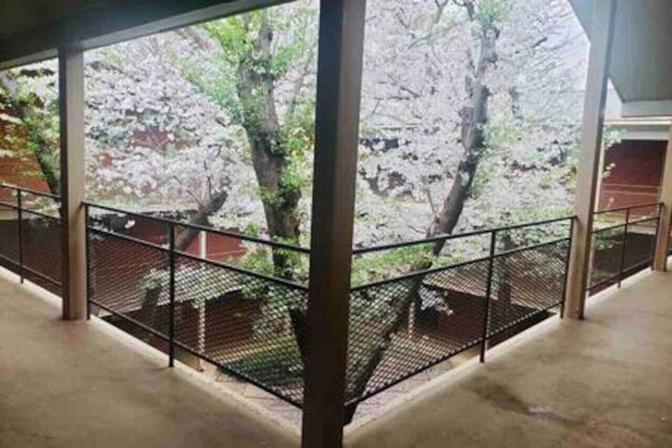 View from courtyard top floor