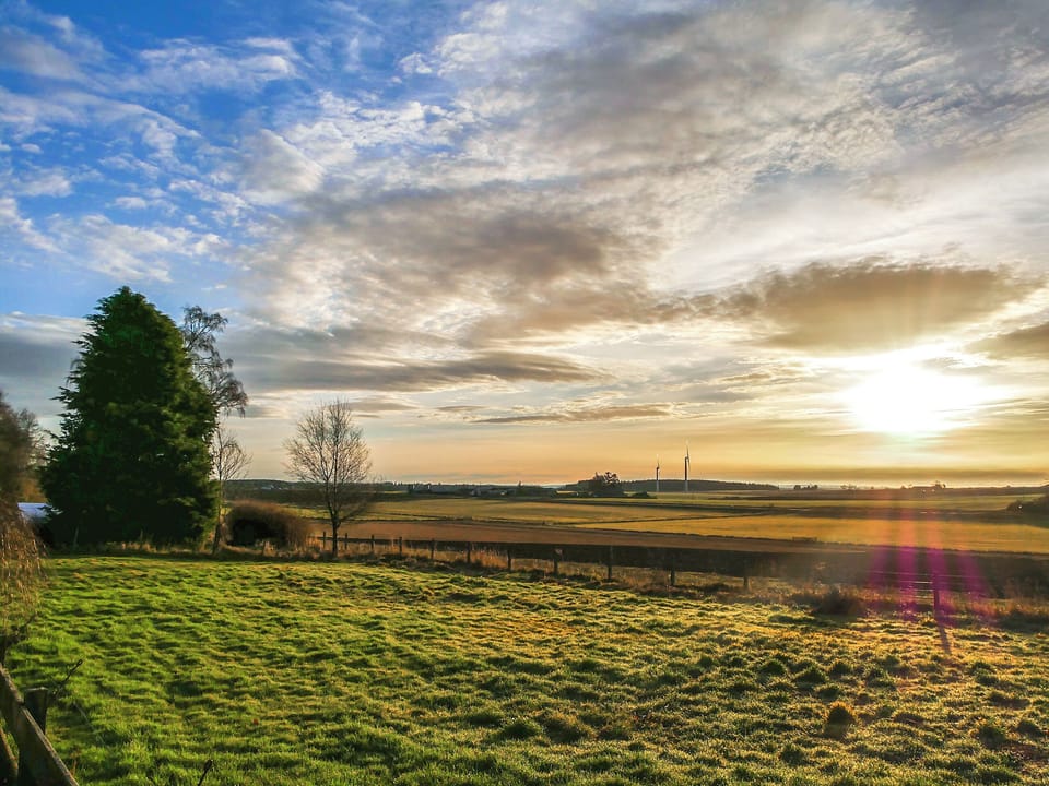 Surrounding area | Pine Tree Cottage - Bonn Na Coille Cottages, Ballater